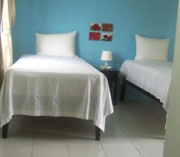 Alvynegril Guest House Jamaica