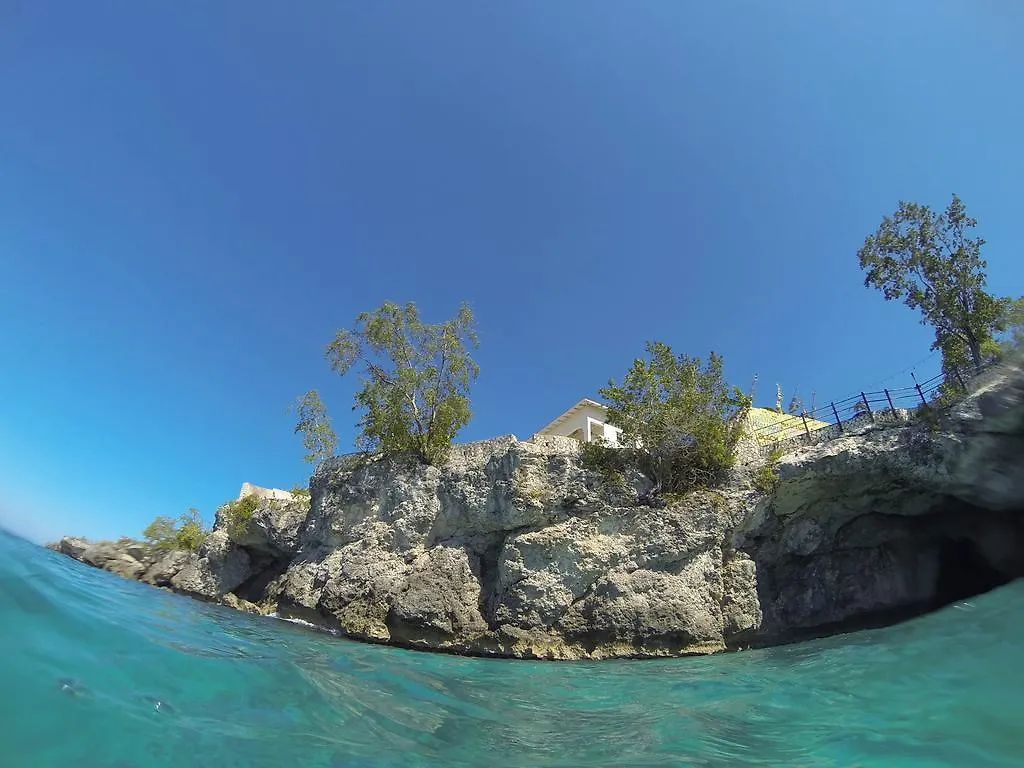Alvynegril Guest House 자메이카